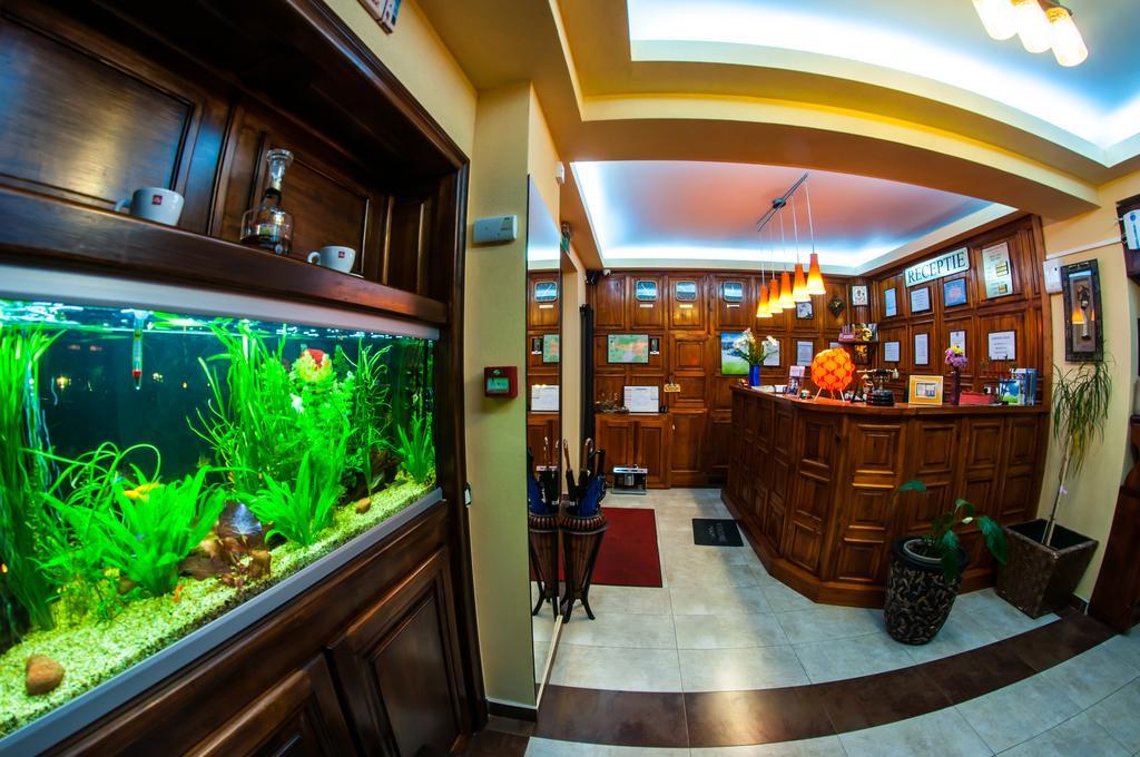 فندق Carpatic بْريدال المظهر الخارجي الصورة